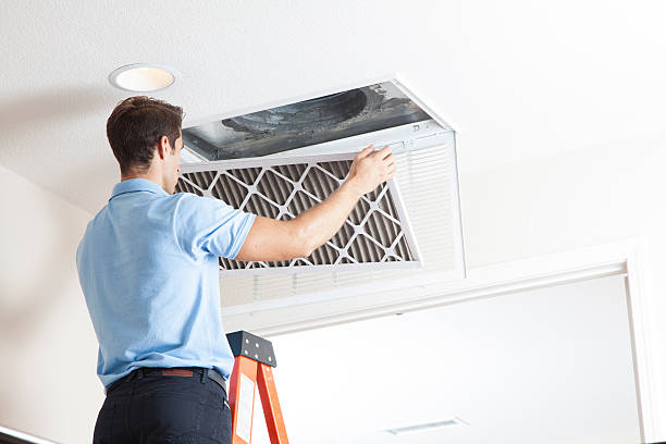 Best Air Filters and Purifiers in Colonial Pine Hills, SD